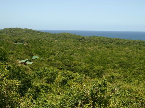 Rocktail Beach Camp - location